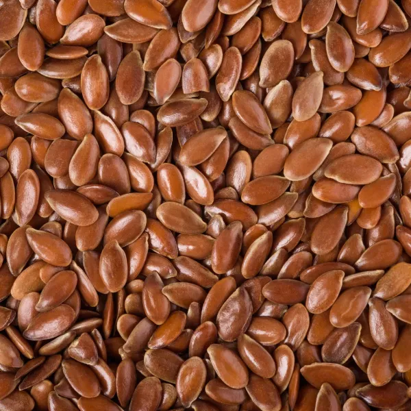 LGS Flax Seeds / Linseeds