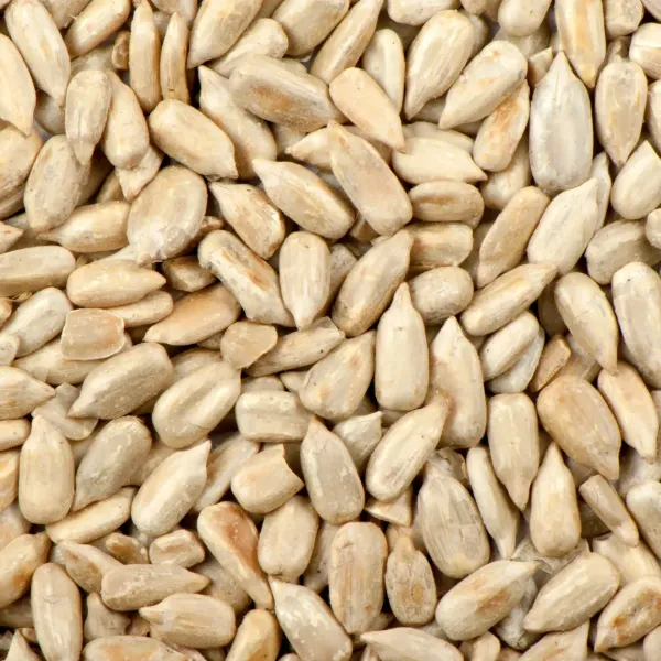 LGS Sunflower Seeds