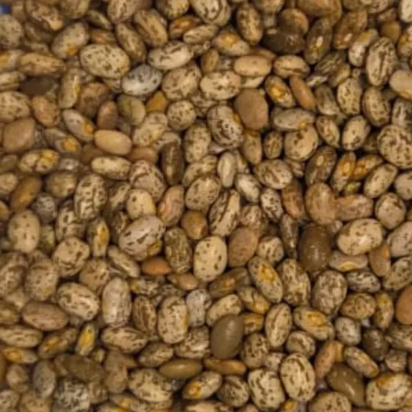 Beans 1kg