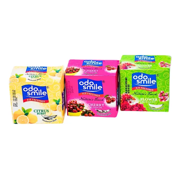 Odo Smile Air Freshner Block 170g