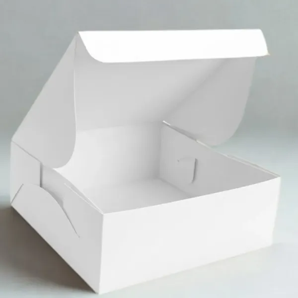 Lunch Box (8 x 8 x 4)