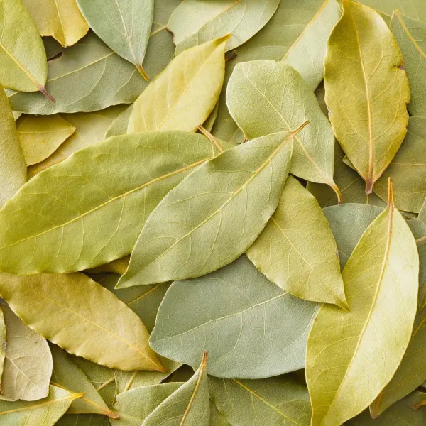 LGS Bay Leaves