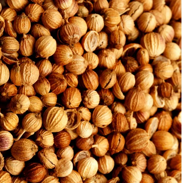 LGS Coriander Seeds
