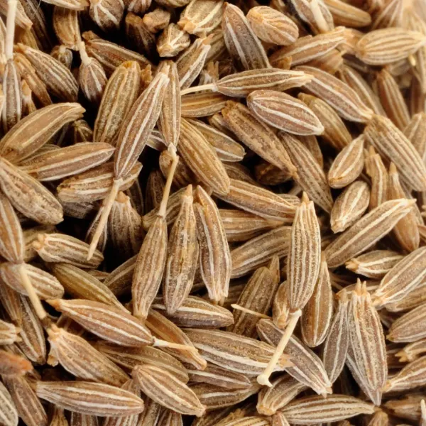 LGS Cumin Seeds