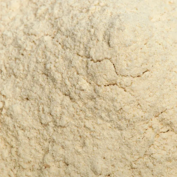 LGS Garlic Powder 500g