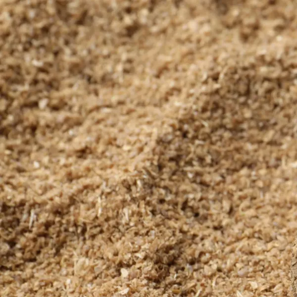 LGS Ginger Ground