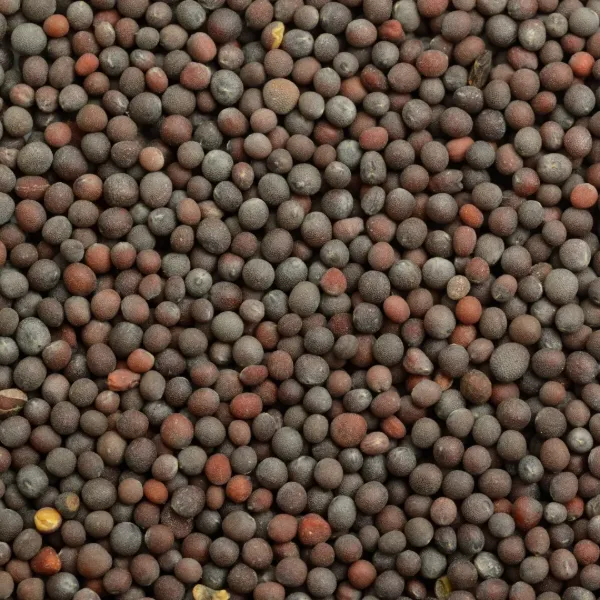 LGS Mustard Seeds