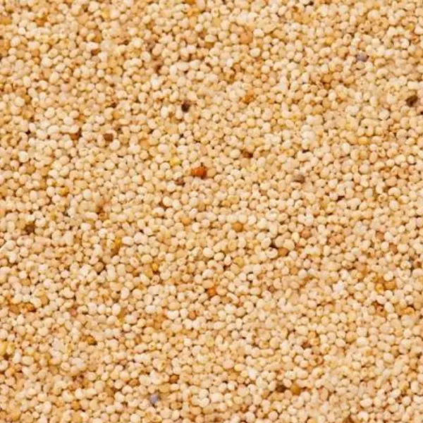 LGS Poppy Seeds